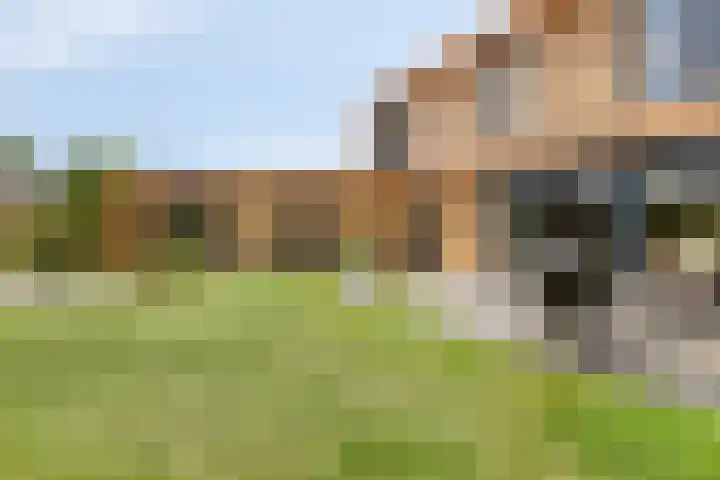 Duvensteijn 16 Goes thumbnail 49