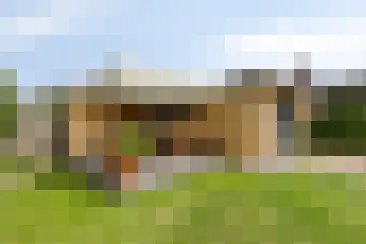 Duvensteijn 16 Goes thumbnail 50