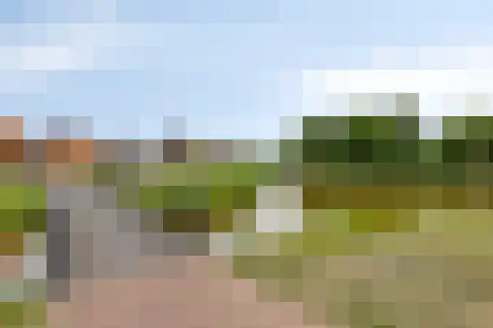 Duvensteijn 16 Goes thumbnail 51