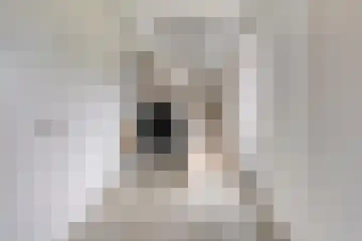 Duvensteijn 16 Goes thumbnail 6
