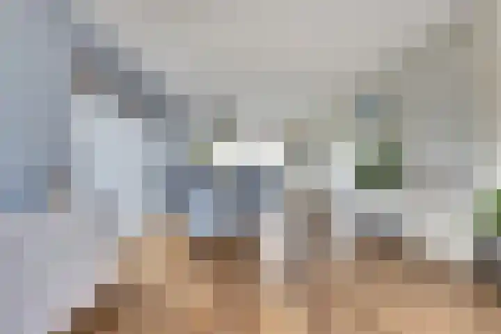 Duvensteijn 6 Goes thumbnail 10