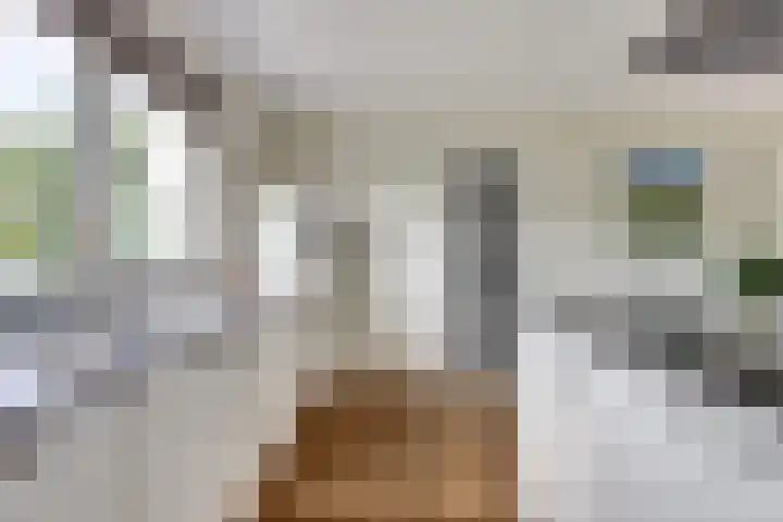 Duvensteijn 6 Goes thumbnail 16