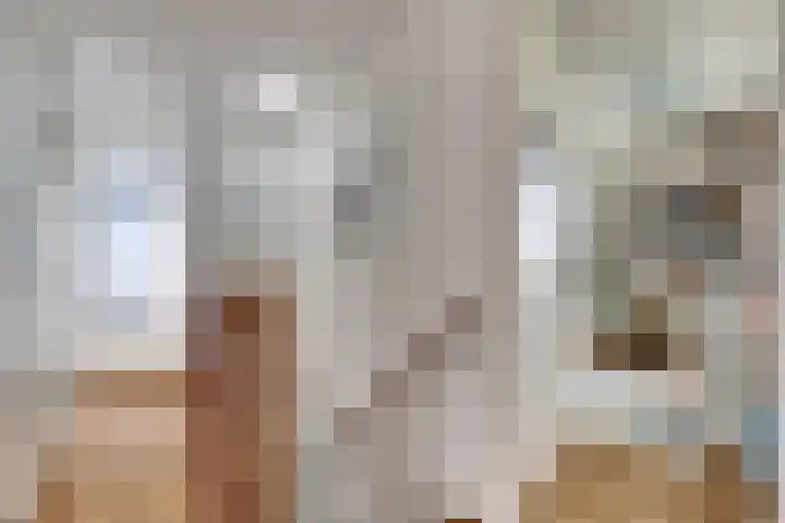 Duvensteijn 6 Goes thumbnail 18