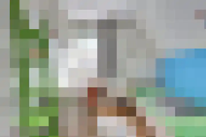 Duvensteijn 6 Goes thumbnail 24