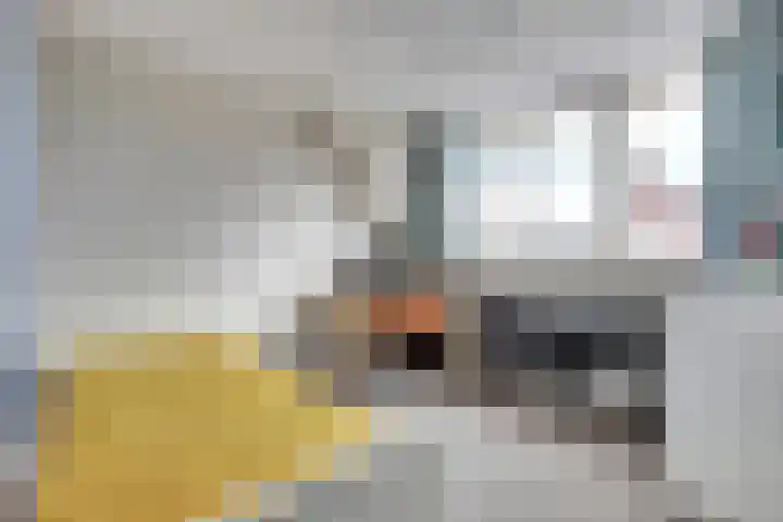 Duvensteijn 6 Goes thumbnail 31