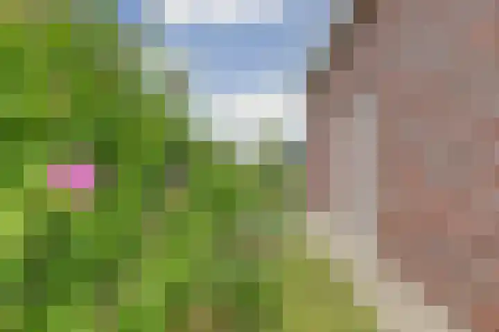 Duvensteijn 6 Goes thumbnail 38