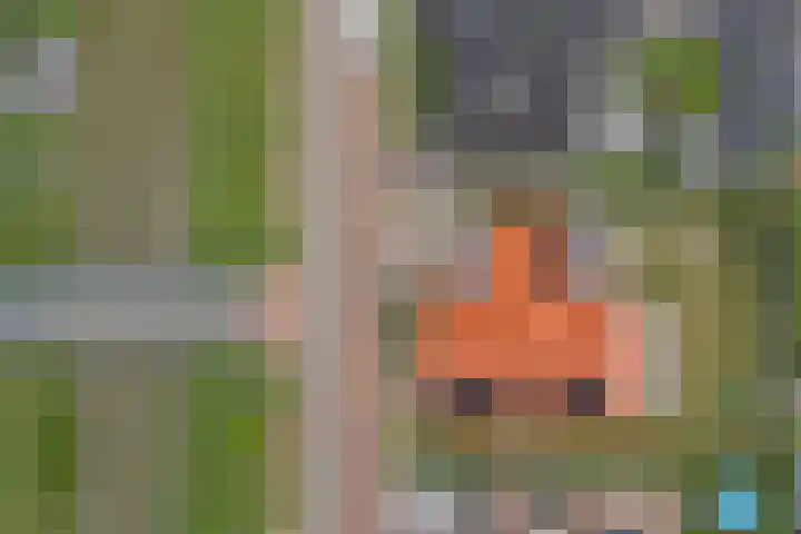 Duvensteijn 6 Goes thumbnail 4