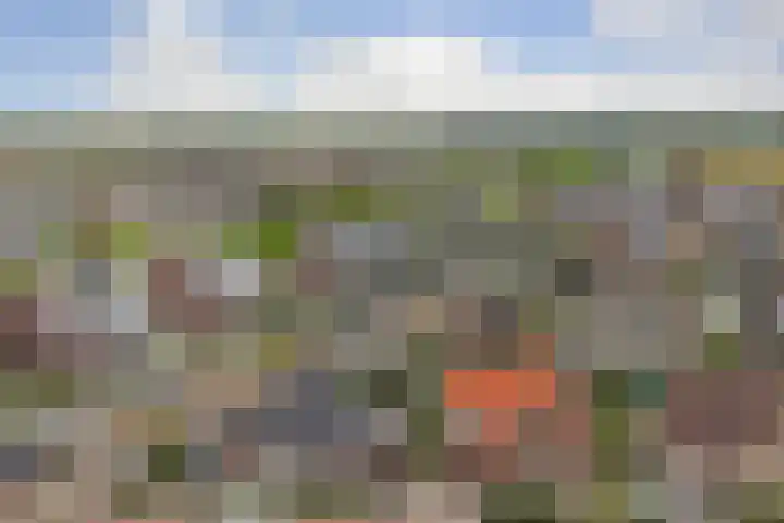Duvensteijn 6 Goes thumbnail 41