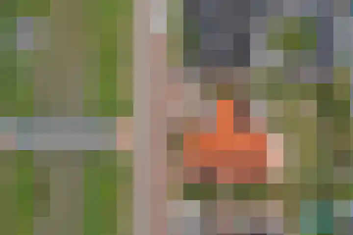 Duvensteijn 6 Goes thumbnail 42