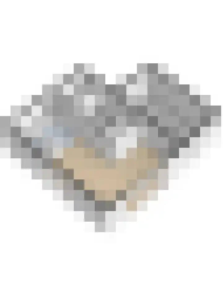 Duvensteijn 6 Goes thumbnail 47