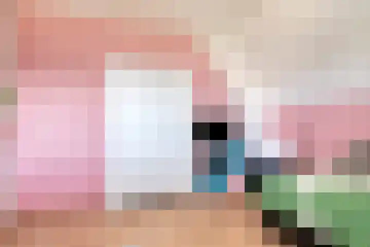 Duvensteijn 8 Goes thumbnail 28