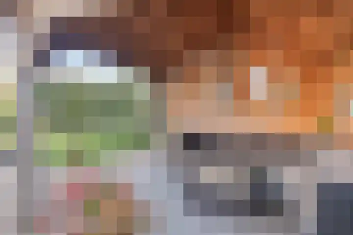 Duvensteijn 8 Goes thumbnail 35