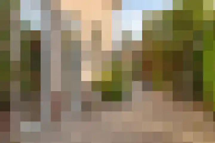 Duvensteijn 8 Goes thumbnail 39