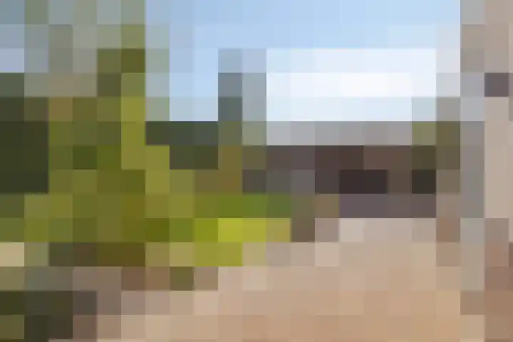 Duvensteijn 8 Goes thumbnail 42