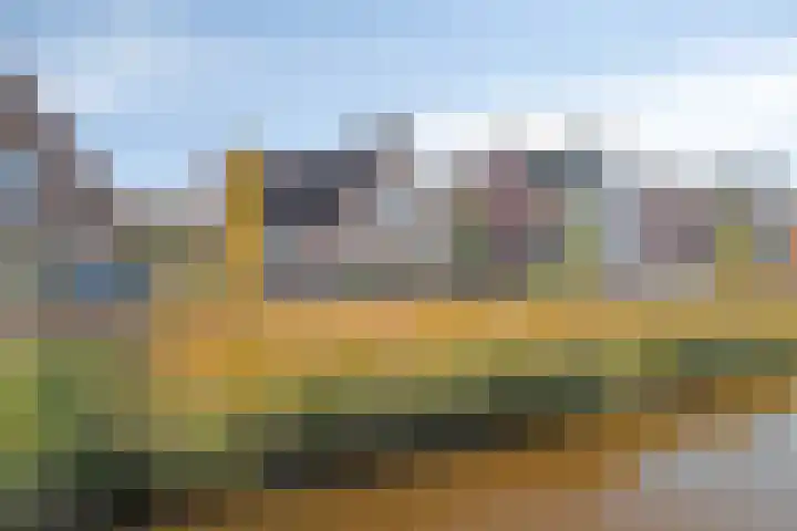 Duvensteijn 8 Goes thumbnail 47