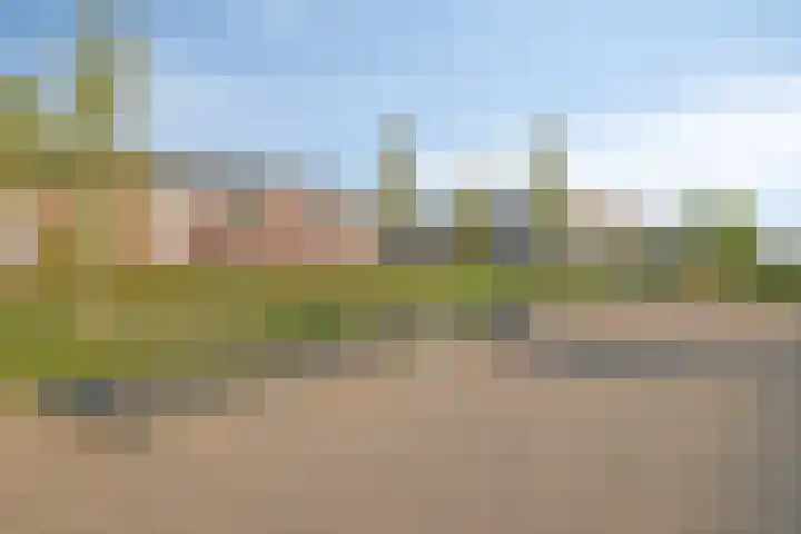 Duvensteijn 8 Goes thumbnail 49