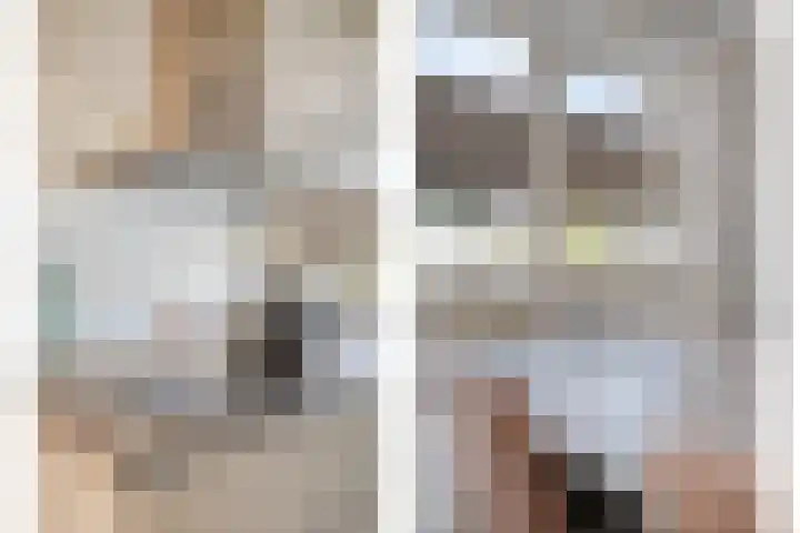 Duvensteijn 8 Goes thumbnail 5