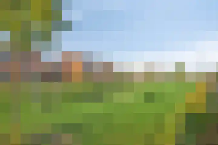 Duvensteijn 8 Goes thumbnail 50