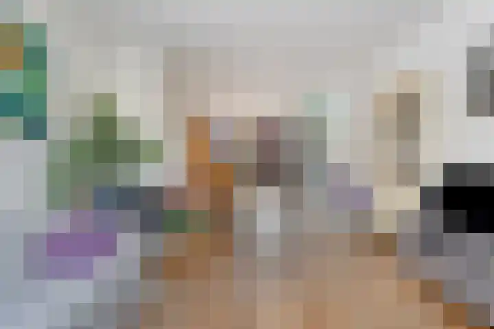 Duvenvoordestraat 19 Terheijden thumbnail 13