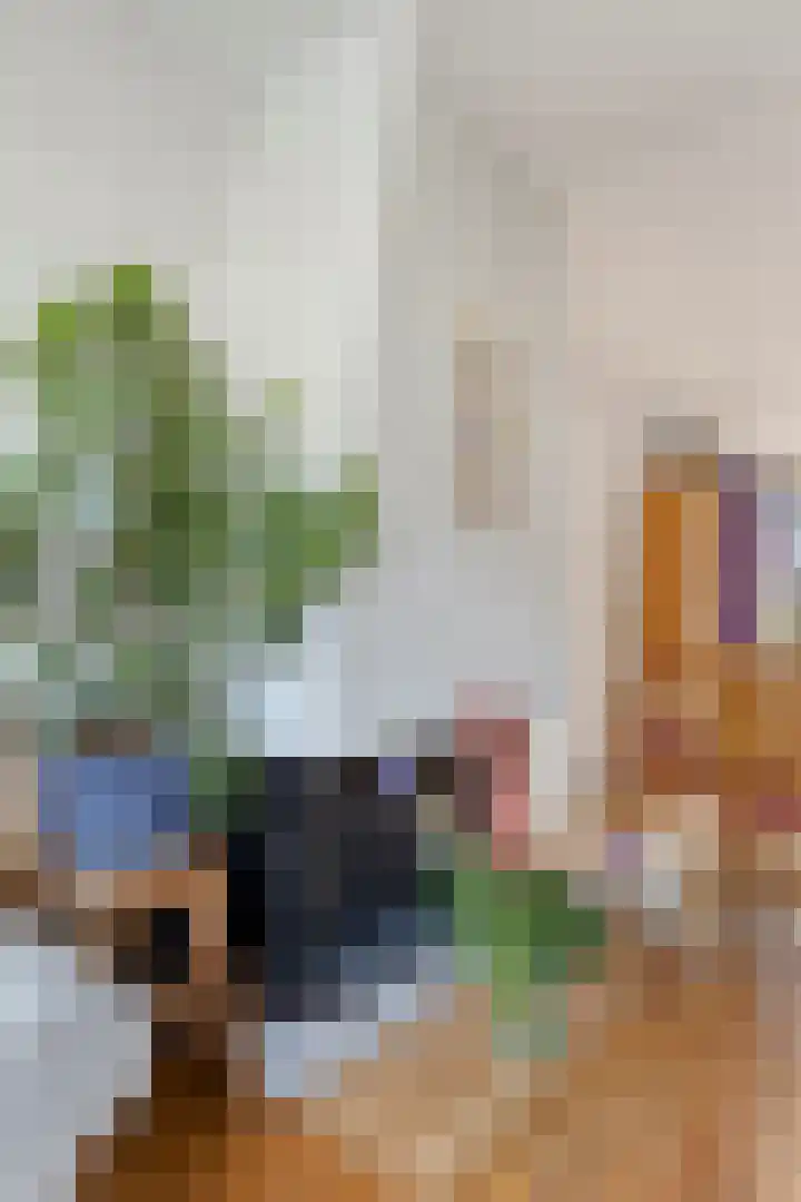 Duvenvoordestraat 19 Terheijden thumbnail 14