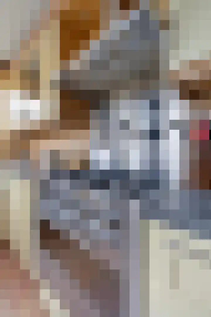 Duvenvoordestraat 19 Terheijden thumbnail 19
