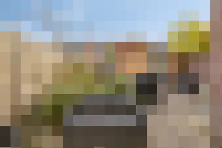 Duvenvoordestraat 19 Terheijden thumbnail 36