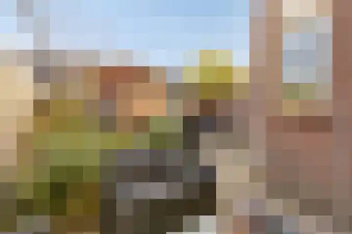 Duvenvoordestraat 19 Terheijden thumbnail 37