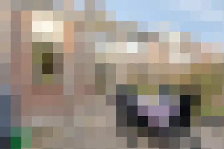 Duvenvoordestraat 19 Terheijden thumbnail 40