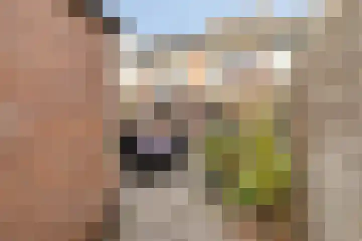 Duvenvoordestraat 19 Terheijden thumbnail 41