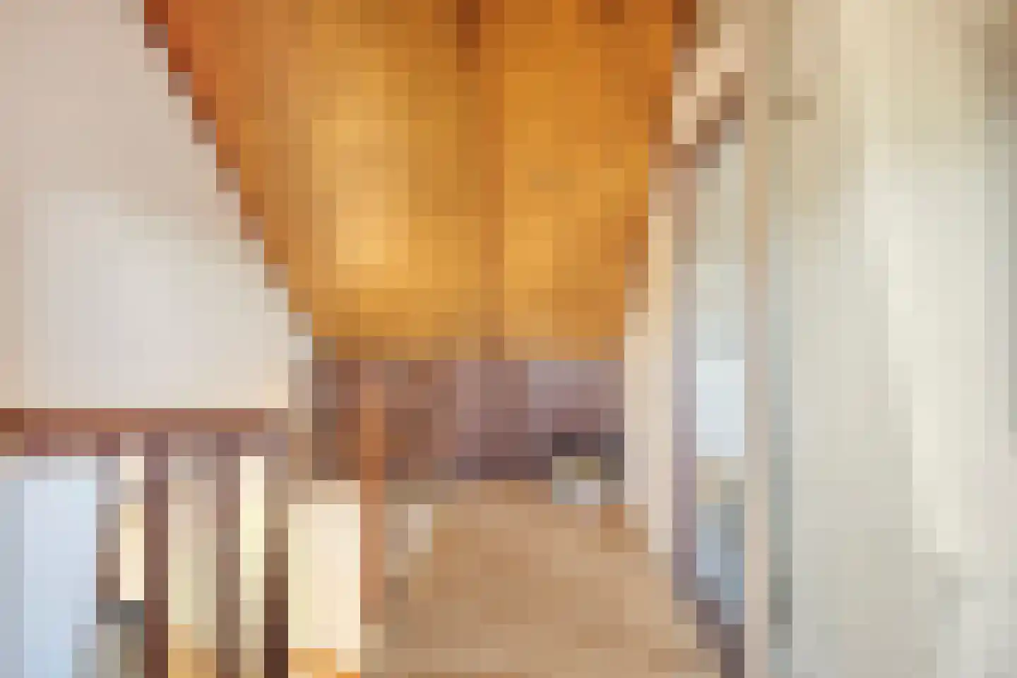 Duvenvoordestraat 23 Terheijden thumbnail 21