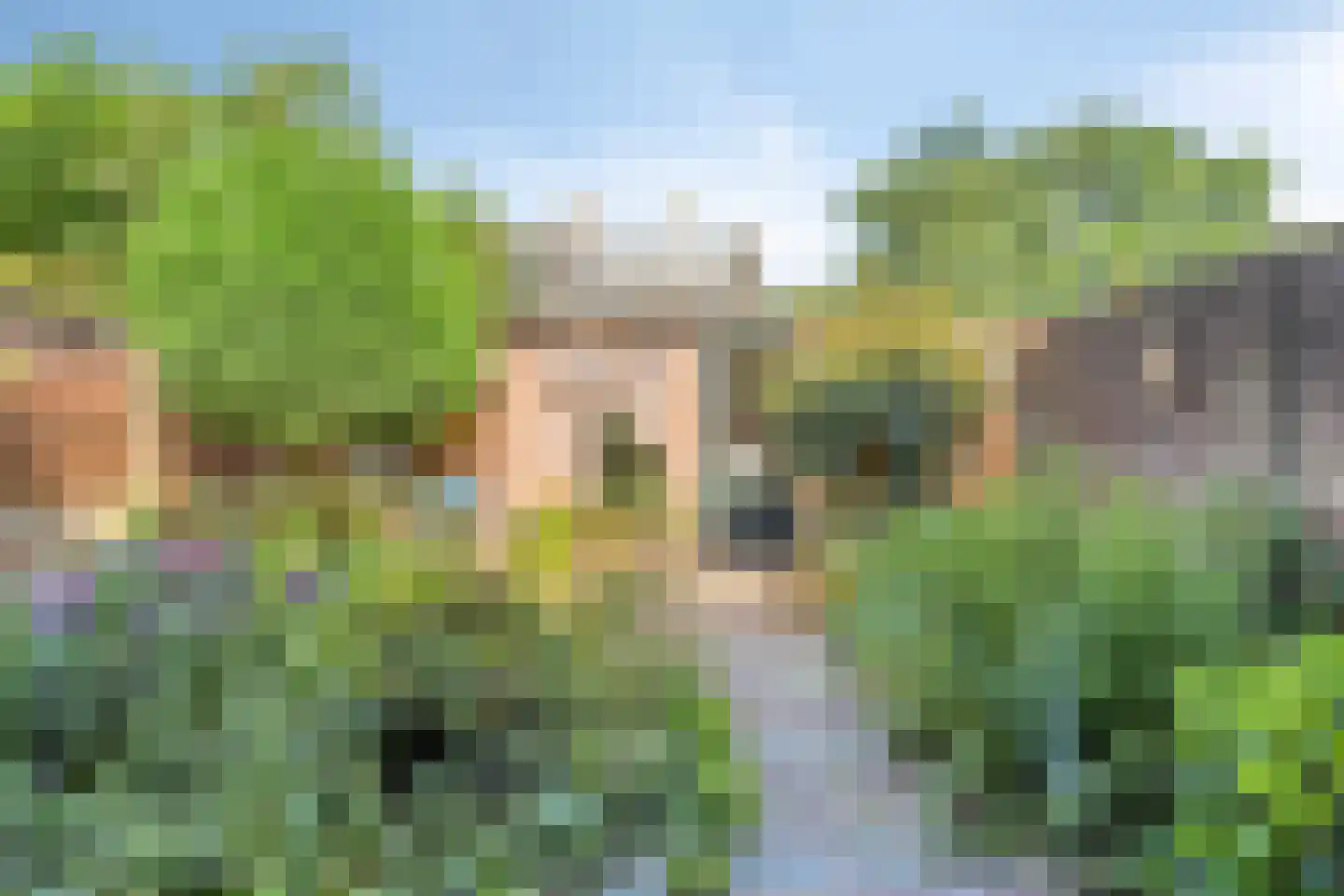 Duvenvoordestraat 23 Terheijden thumbnail 25