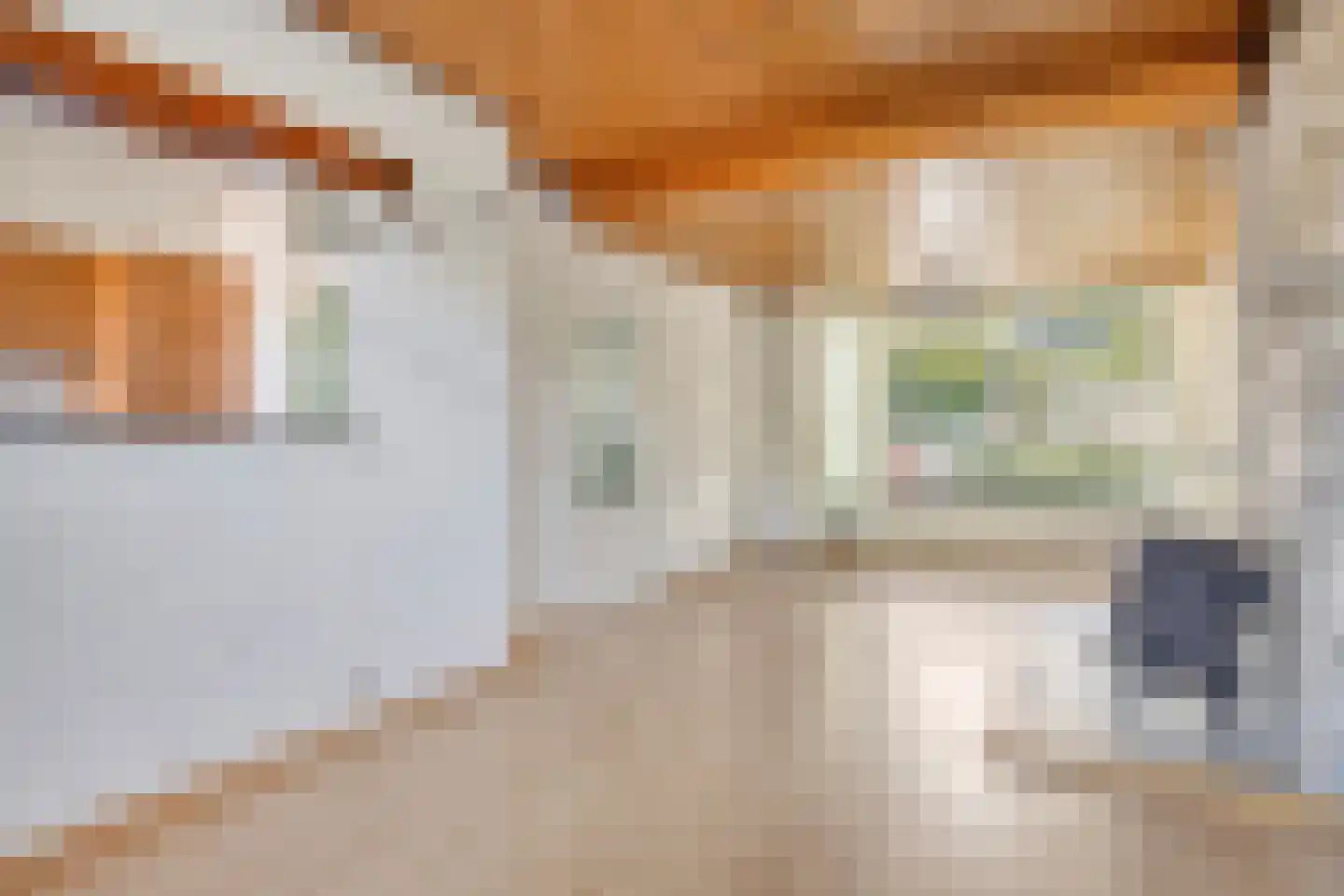 Duvenvoordestraat 23 Terheijden thumbnail 4