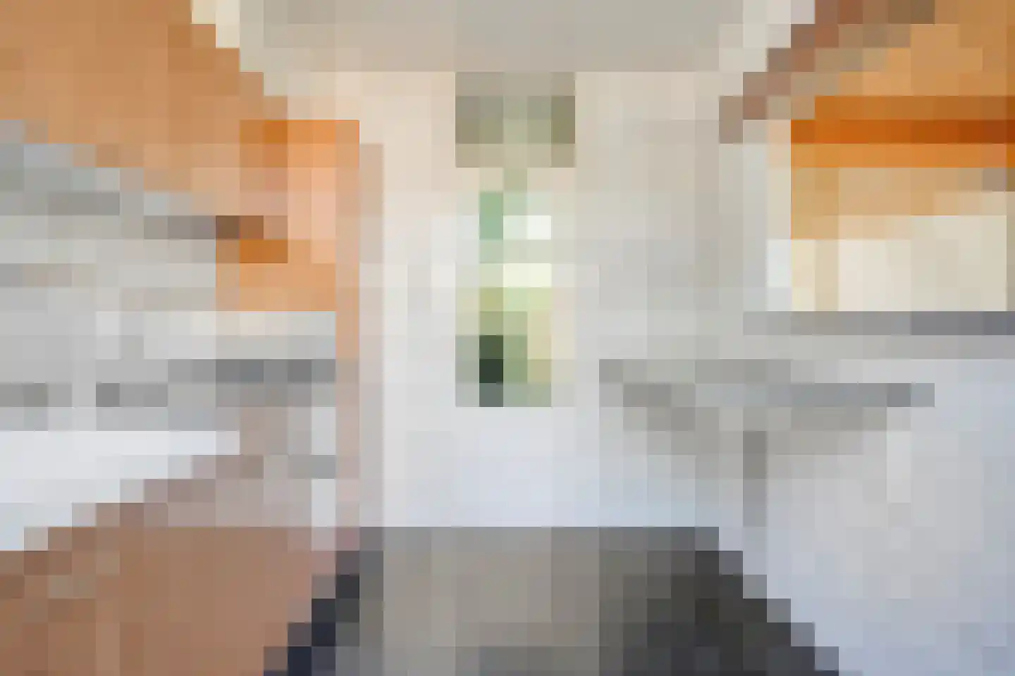 Duvenvoordestraat 23 Terheijden thumbnail 5
