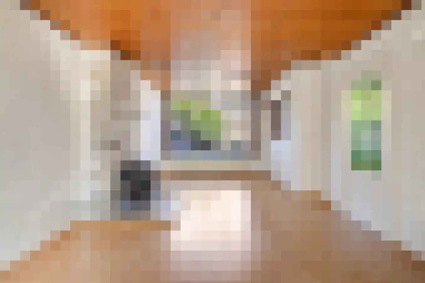 Duvenvoordestraat 23 Terheijden thumbnail 8