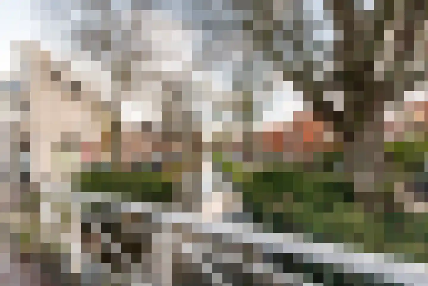 Duvenvoordestraat 30 Haarlem thumbnail 29
