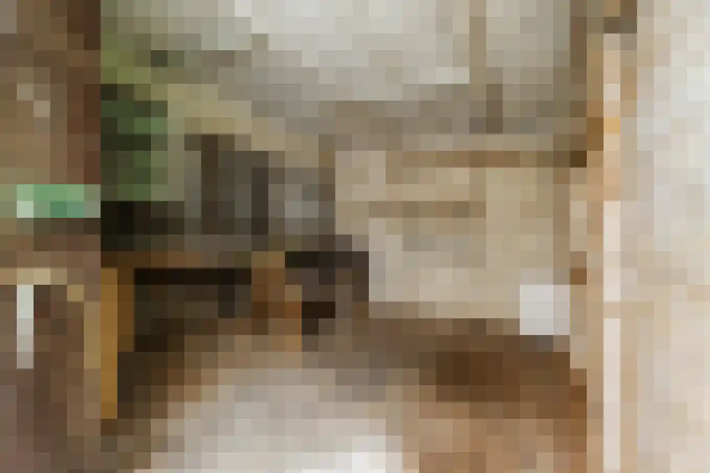 Duvenvoordestraat 34 Haarlem thumbnail 26