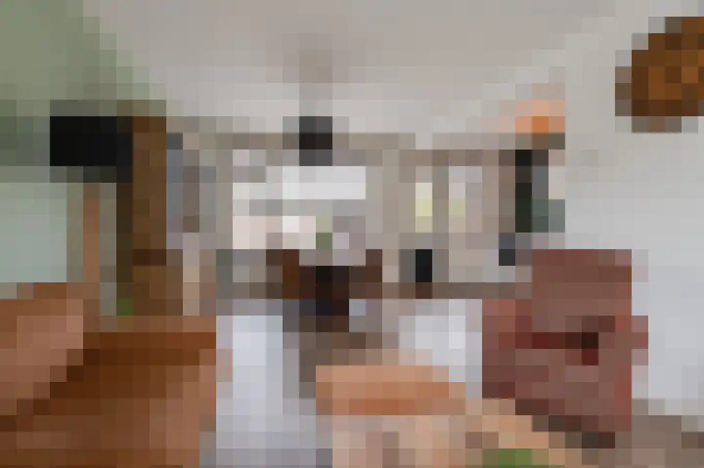 Duyfhuisstraat 17 Deil thumbnail 10