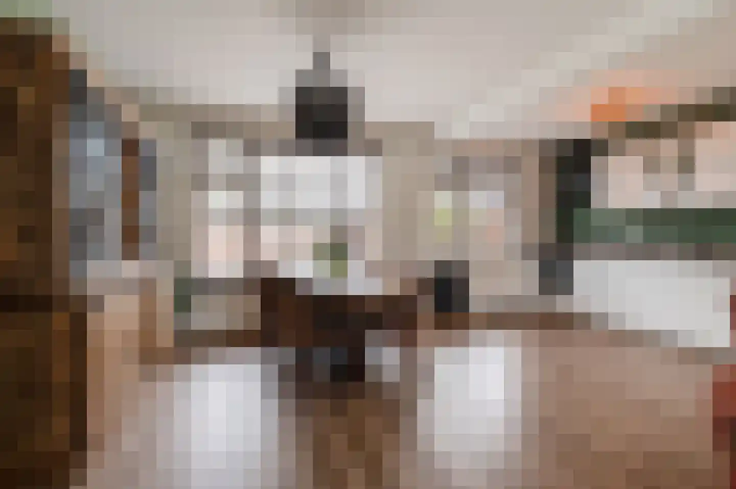 Duyfhuisstraat 17 Deil thumbnail 11