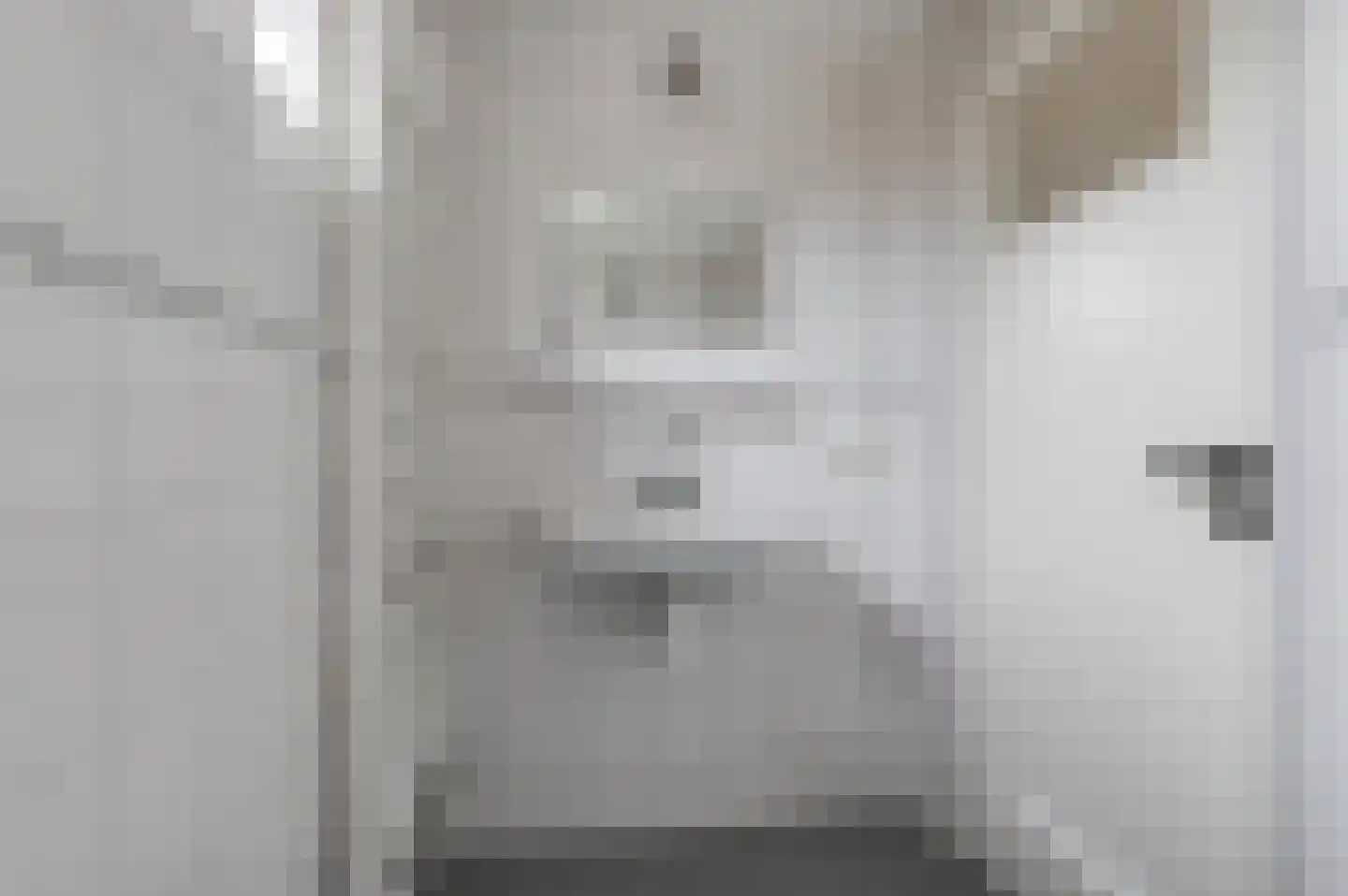 Duyfhuisstraat 17 Deil thumbnail 20