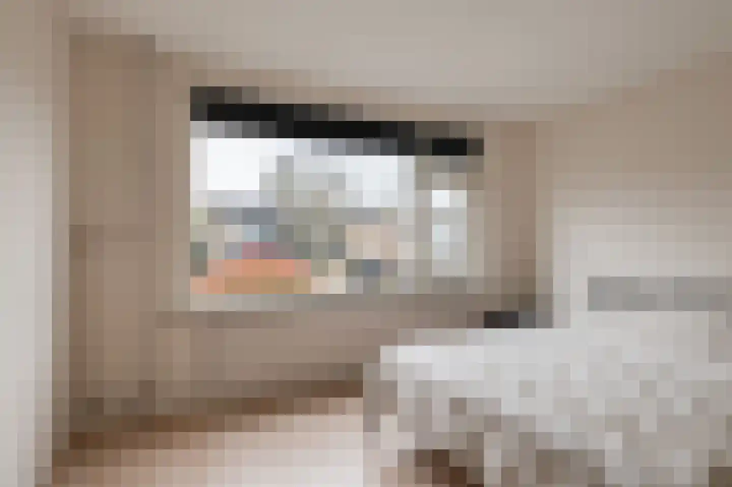 Duyfhuisstraat 17 Deil thumbnail 23