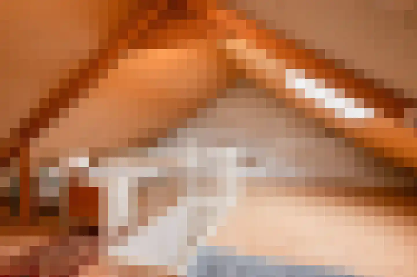 Duyfhuisstraat 17 Deil thumbnail 25