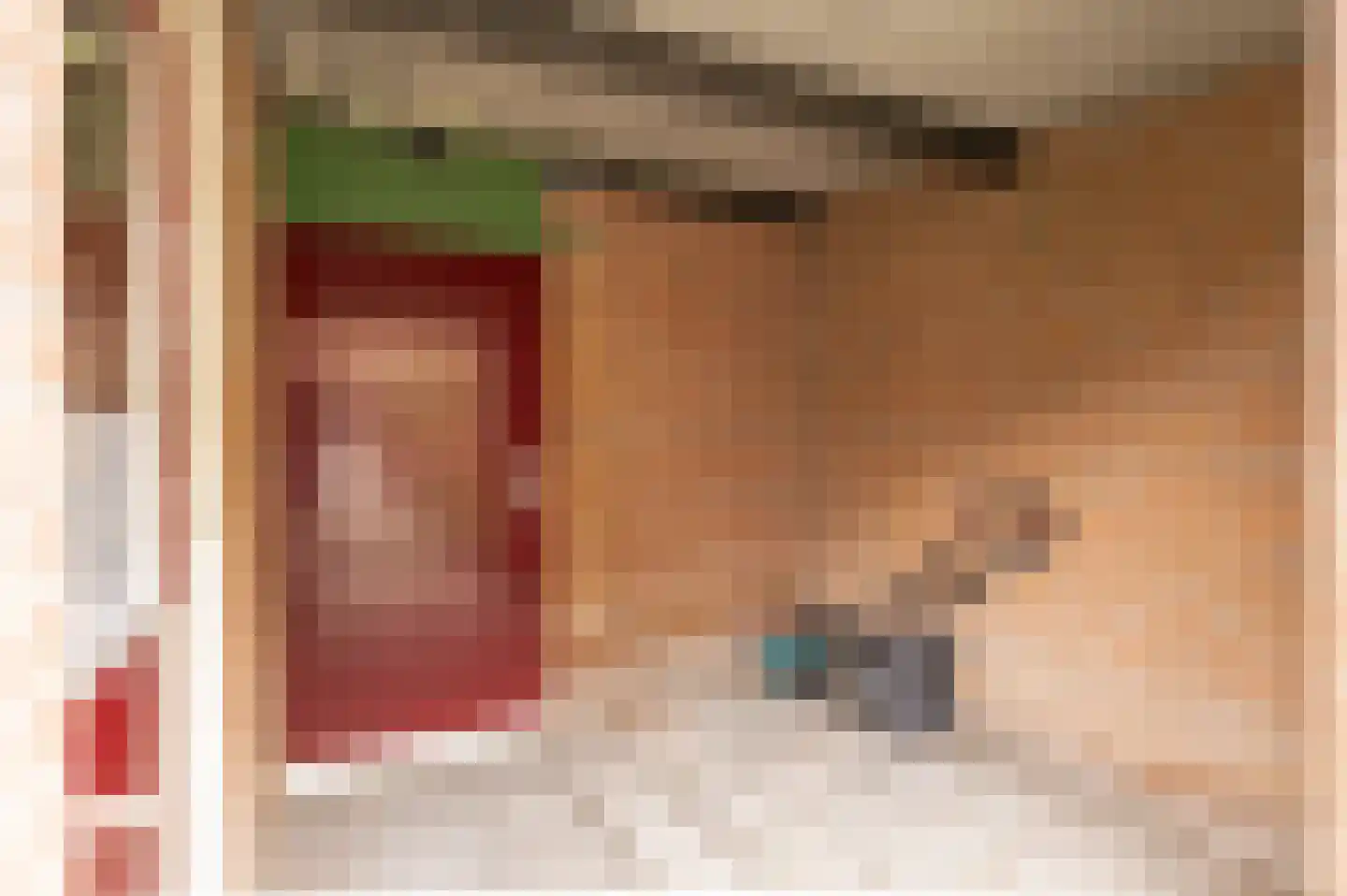 Duyfhuisstraat 17 Deil thumbnail 31
