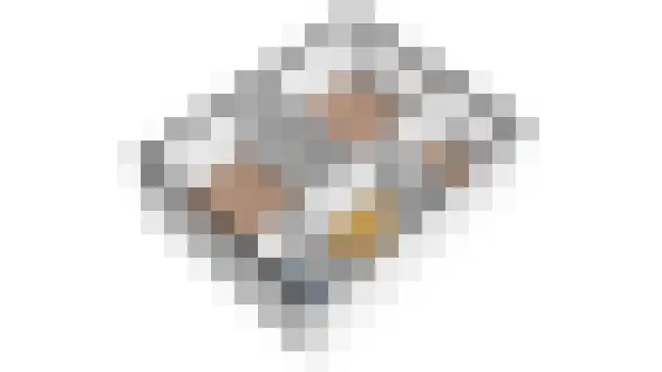 Duyfhuisstraat 17 Deil thumbnail 37