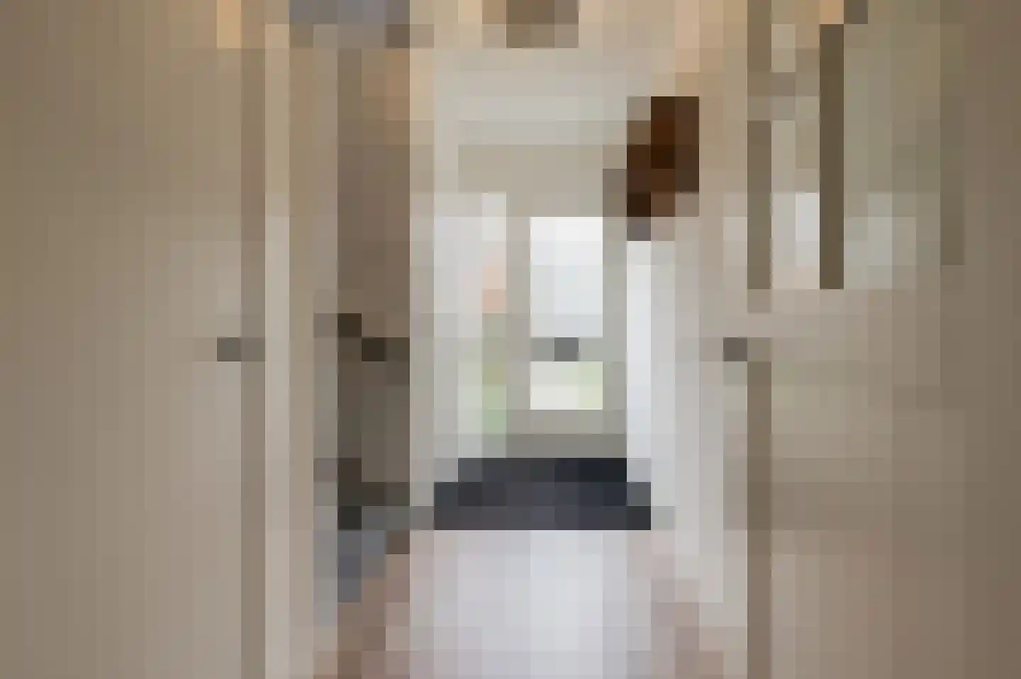Duyfhuisstraat 17 Deil thumbnail 4