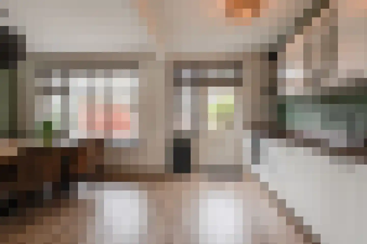 Duyfhuisstraat 17 Deil thumbnail 5