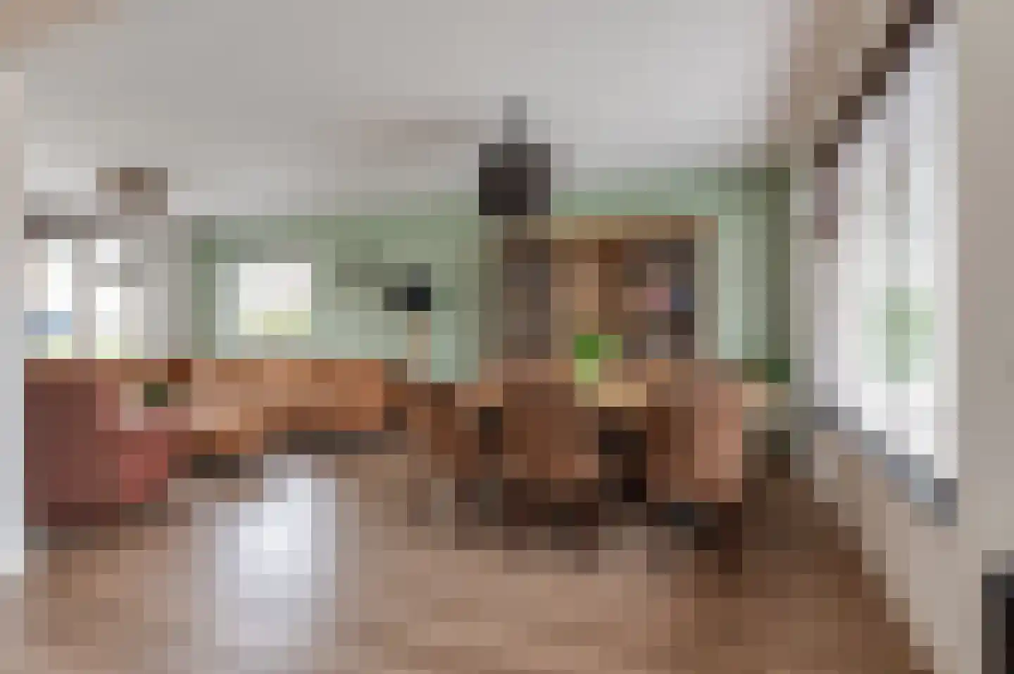 Duyfhuisstraat 17 Deil thumbnail 7