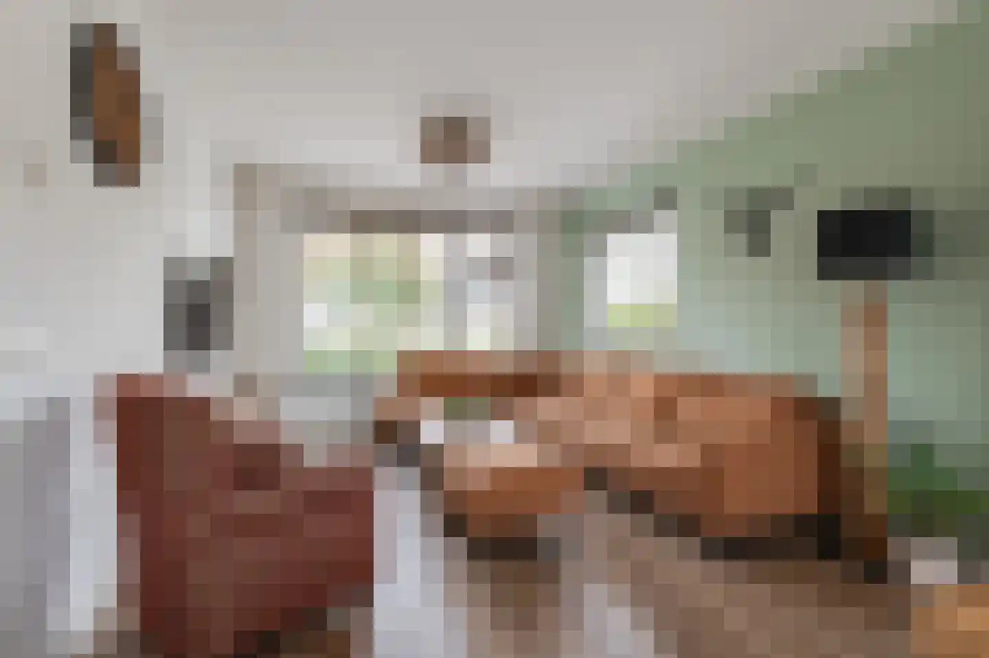 Duyfhuisstraat 17 Deil thumbnail 8