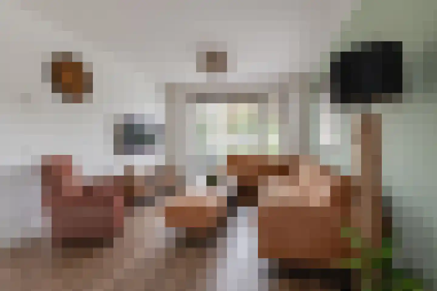 Duyfhuisstraat 17 Deil thumbnail 9
