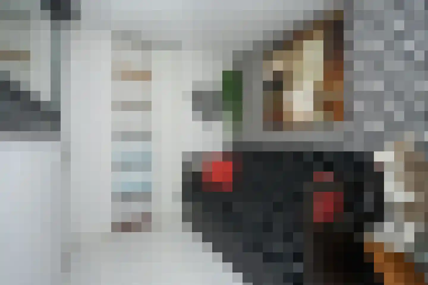 Duykerdam 26 Den Burg thumbnail 20
