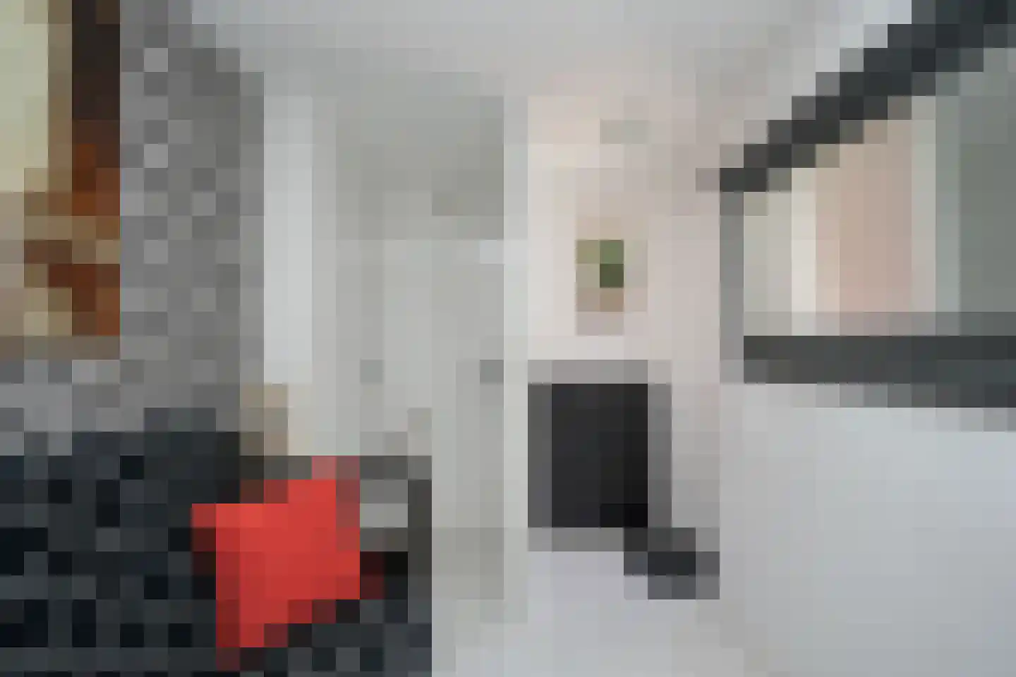 Duykerdam 26 Den Burg thumbnail 4